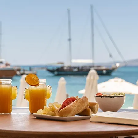 Cactus Holiday home Agia Anna (Naxos)