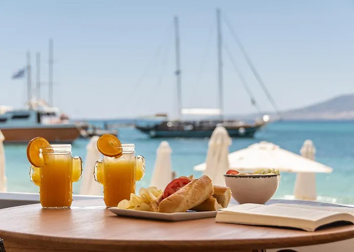 Cactus Holiday home Agia Anna (Naxos)