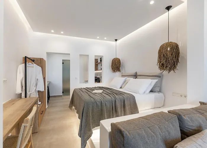 Cactus Αγία Άννα